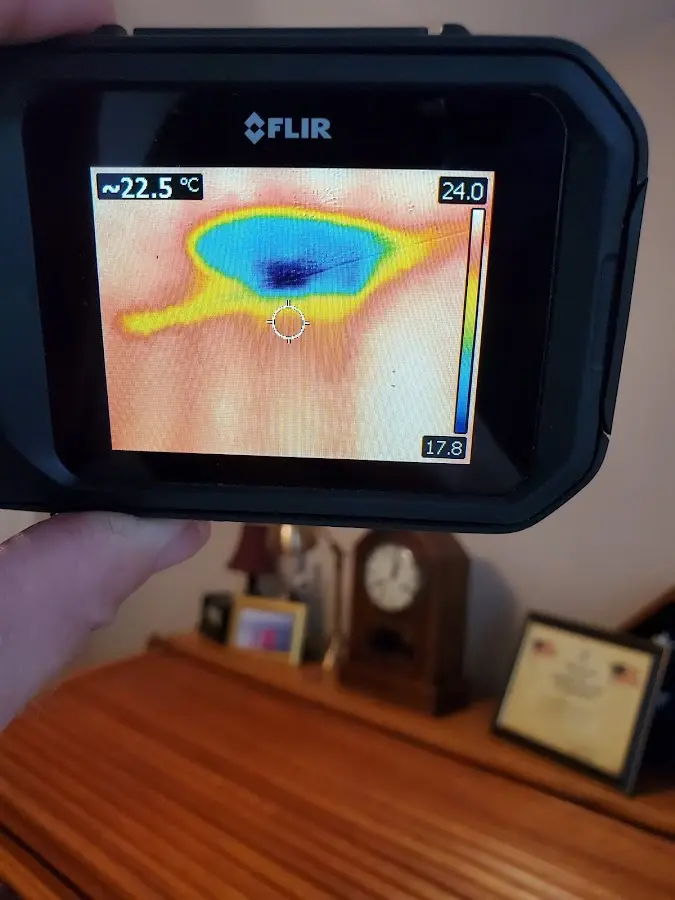 Thermal imaging inspection for water damage in Tremonton